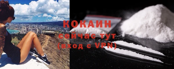 индика Протвино