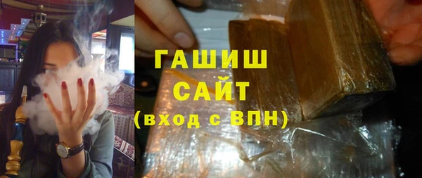 гашик Алексин