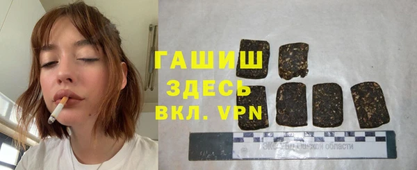 хмурый Алзамай