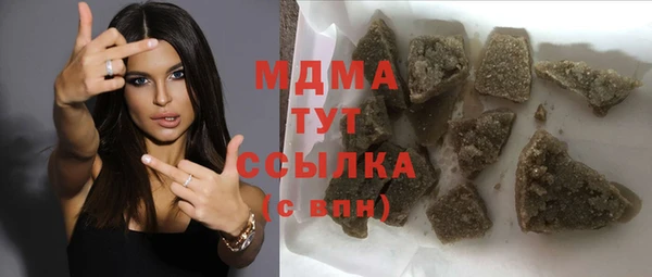 гашик Алексин