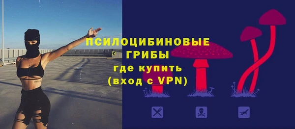 гашик Алексин