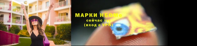 хмурый Алзамай