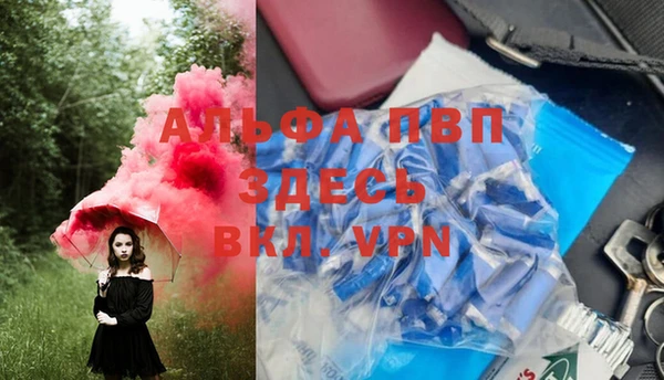 стаф Алексеевка