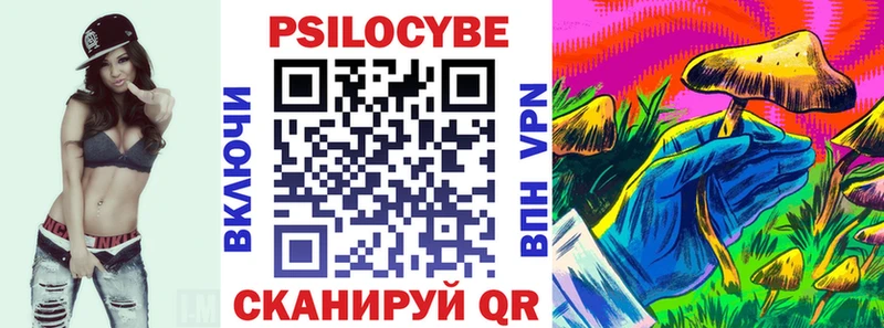 Галлюциногенные грибы Cubensis  где купить   Навашино 