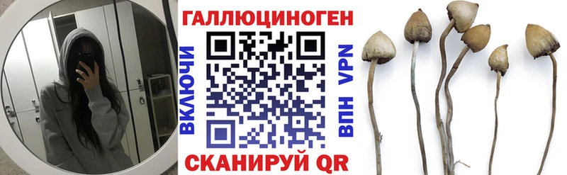 Галлюциногенные грибы прущие грибы Навашино
